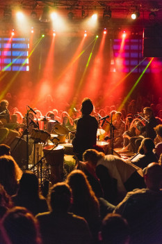 Waarom een kleine dinnershow vaak meer indruk maakt dan een groot festival