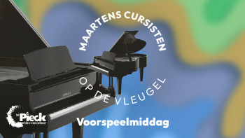 Maarten cursisten op de vleugel • Muziek