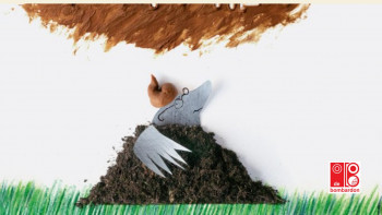 Over een kleine mol die wil weten wie er op zijn kop gepoept heeft (2+)