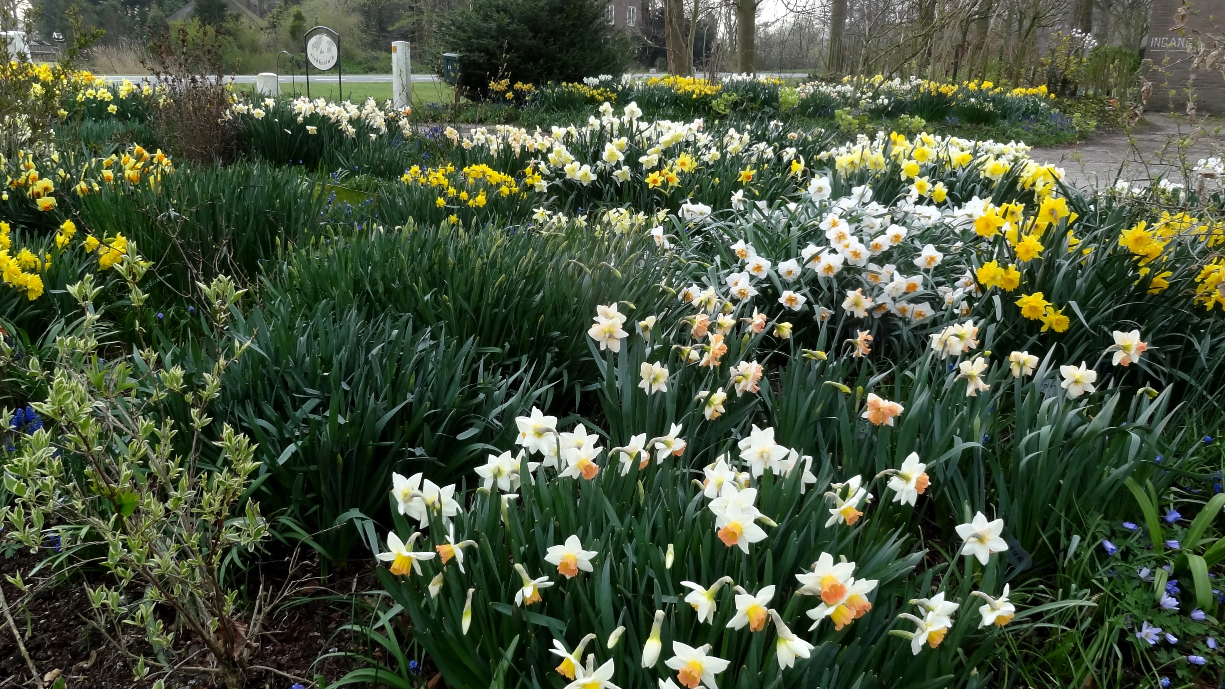 Tuinenroute binnen de Tulpenroute