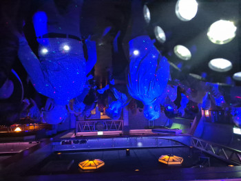 single party meppel on tour