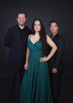 Kerstconcert: Winter Wonderland met Trio 258