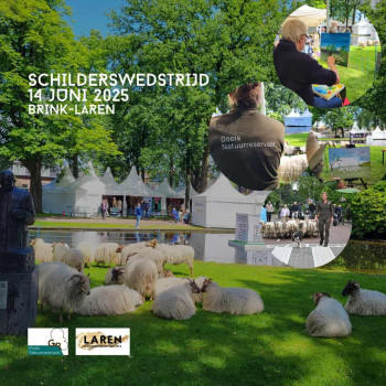 Schilderwedstrijd op de Brink – Inschrijven
