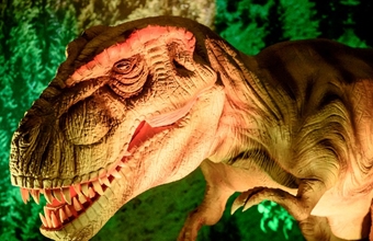 Dino’s in het museum