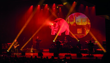 Pink Project The Band