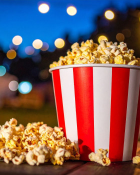 Surprise familie film voor alle leeftijden