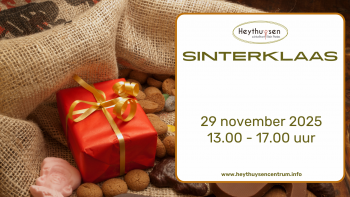 Sinterklaas Shoppen