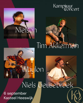 Kampvuurconcert Waylon, Nielson, Tim Akkerman en Niels Geusebroek