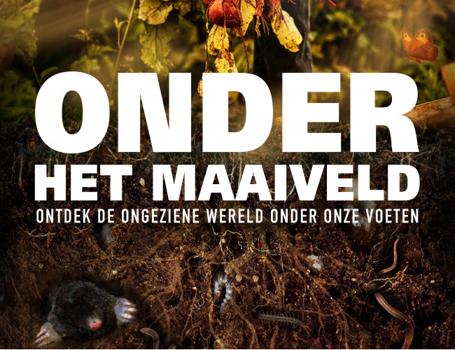 film - Onder Het Maaiveld