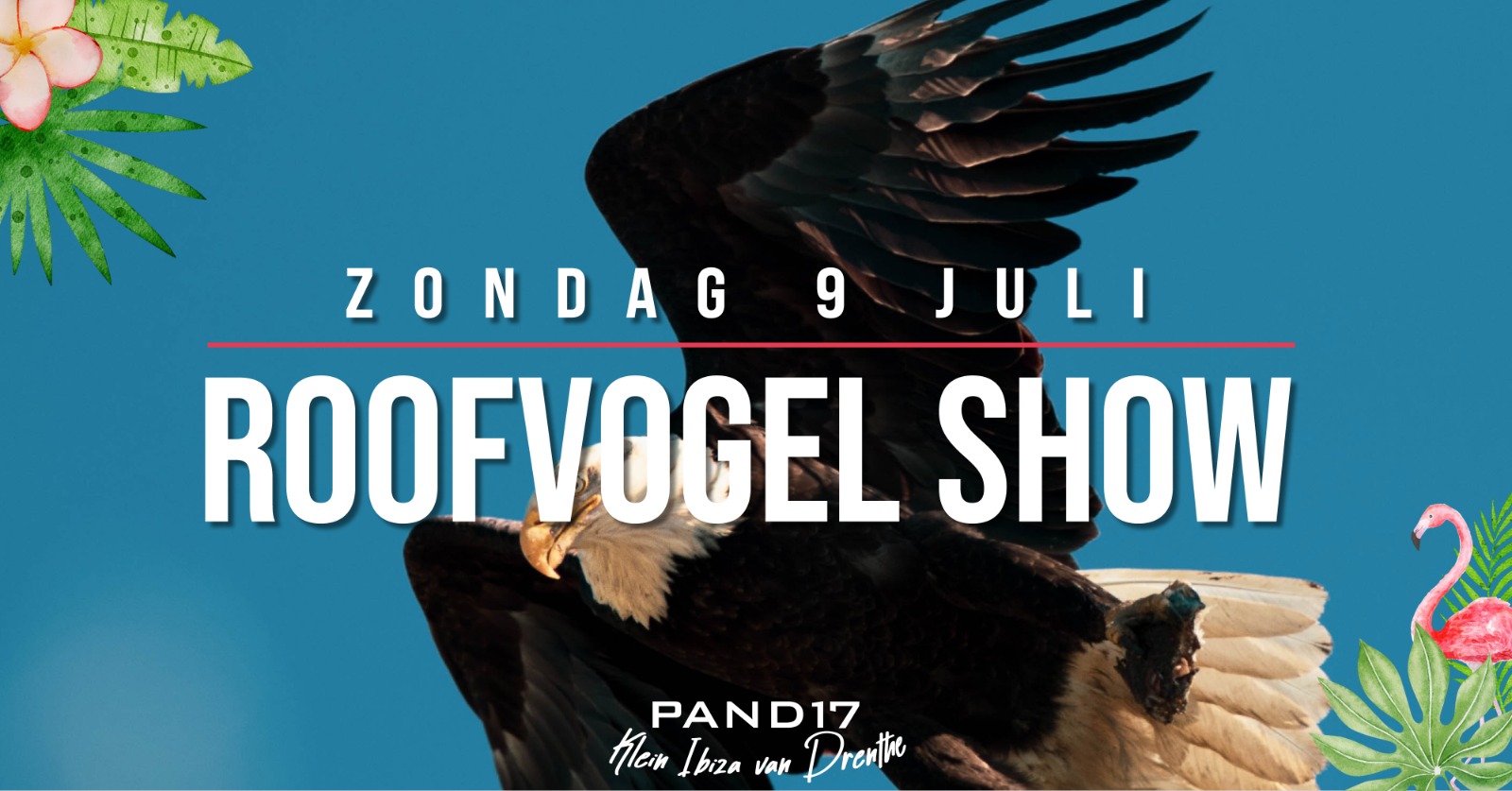 Roofvogelshow