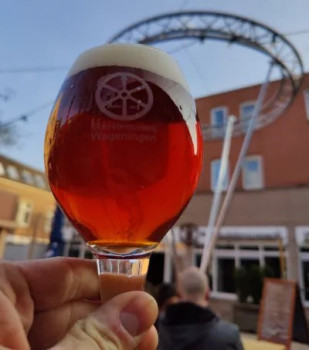 Open Proeverij & Rondleiding Zaterdag 3 mei 14u 2026