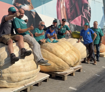 Dutch Urban Farmers Festival (DUFF)