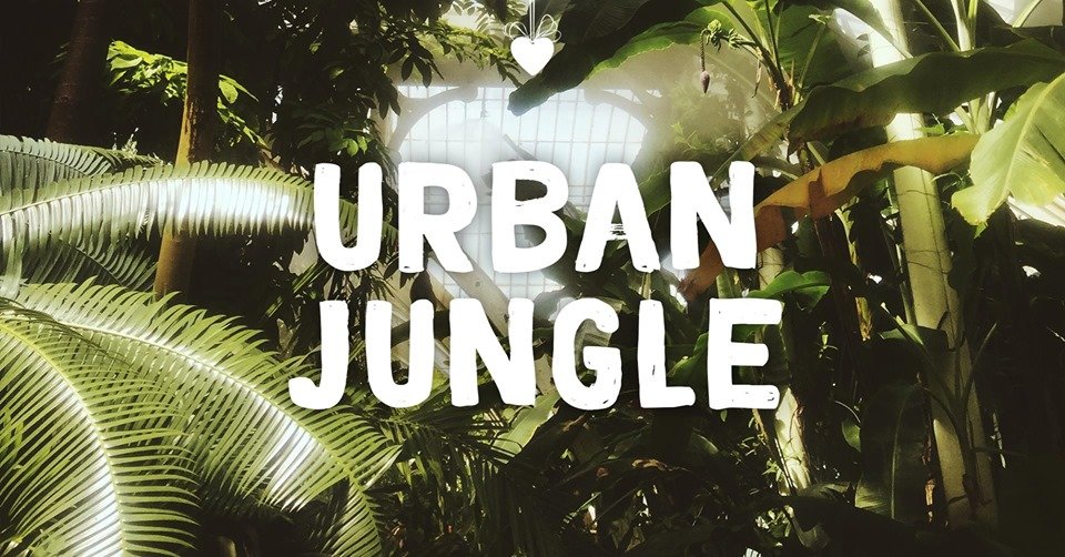 Urban Jungle!