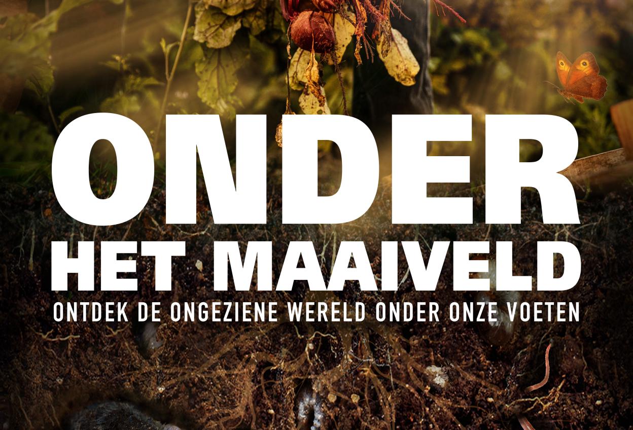 Film Onder het Maaiveld