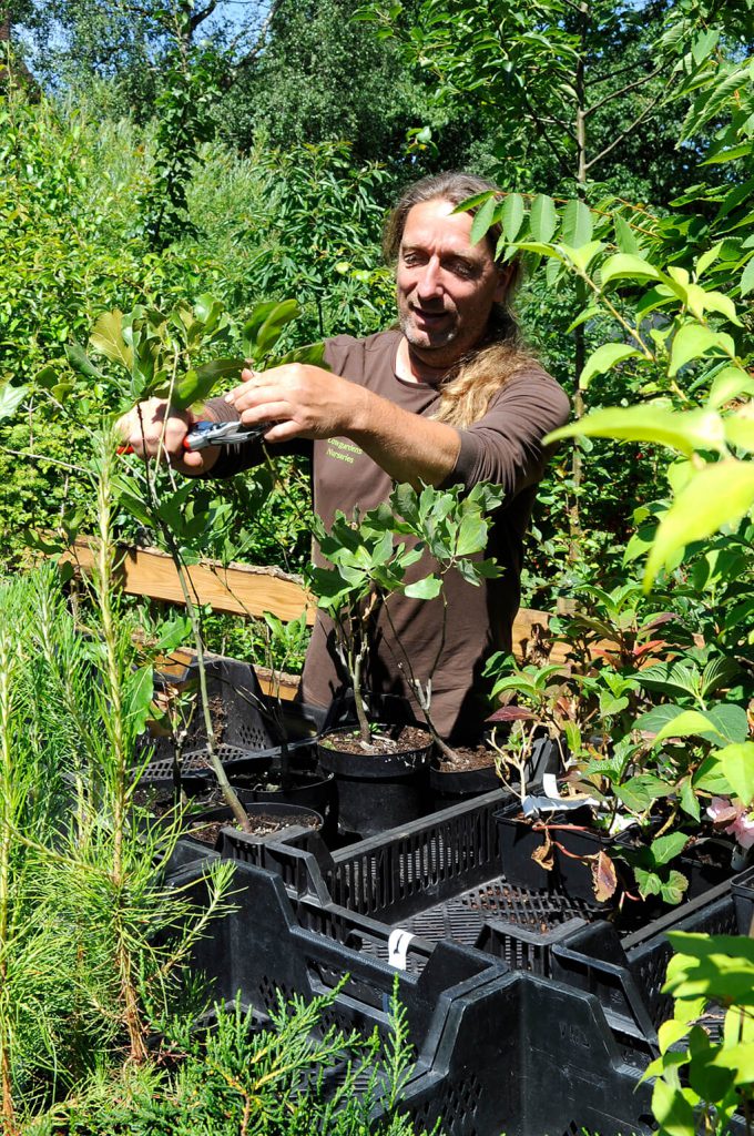 Biodiversiteitsfestival - cursus 'Hoe maak ik mijn tuin meer biodivers?'