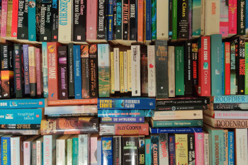 Boekenmarkt Oostwold