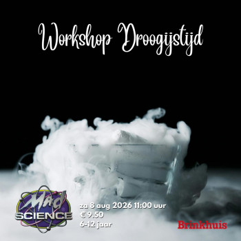 Workshop Mad Science - Droogijstijd