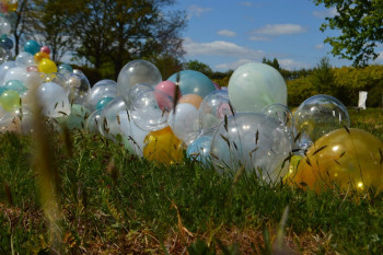 Grensloos Kunst Verkennen