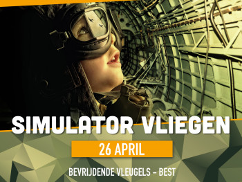 Simulatie vliegen