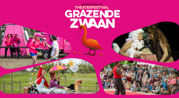 Grazende Zwaan