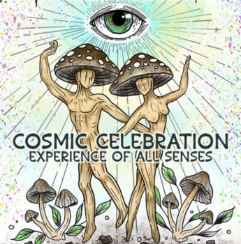 Cosmic Celebration Dansavond - 12 juni NDSM Werf