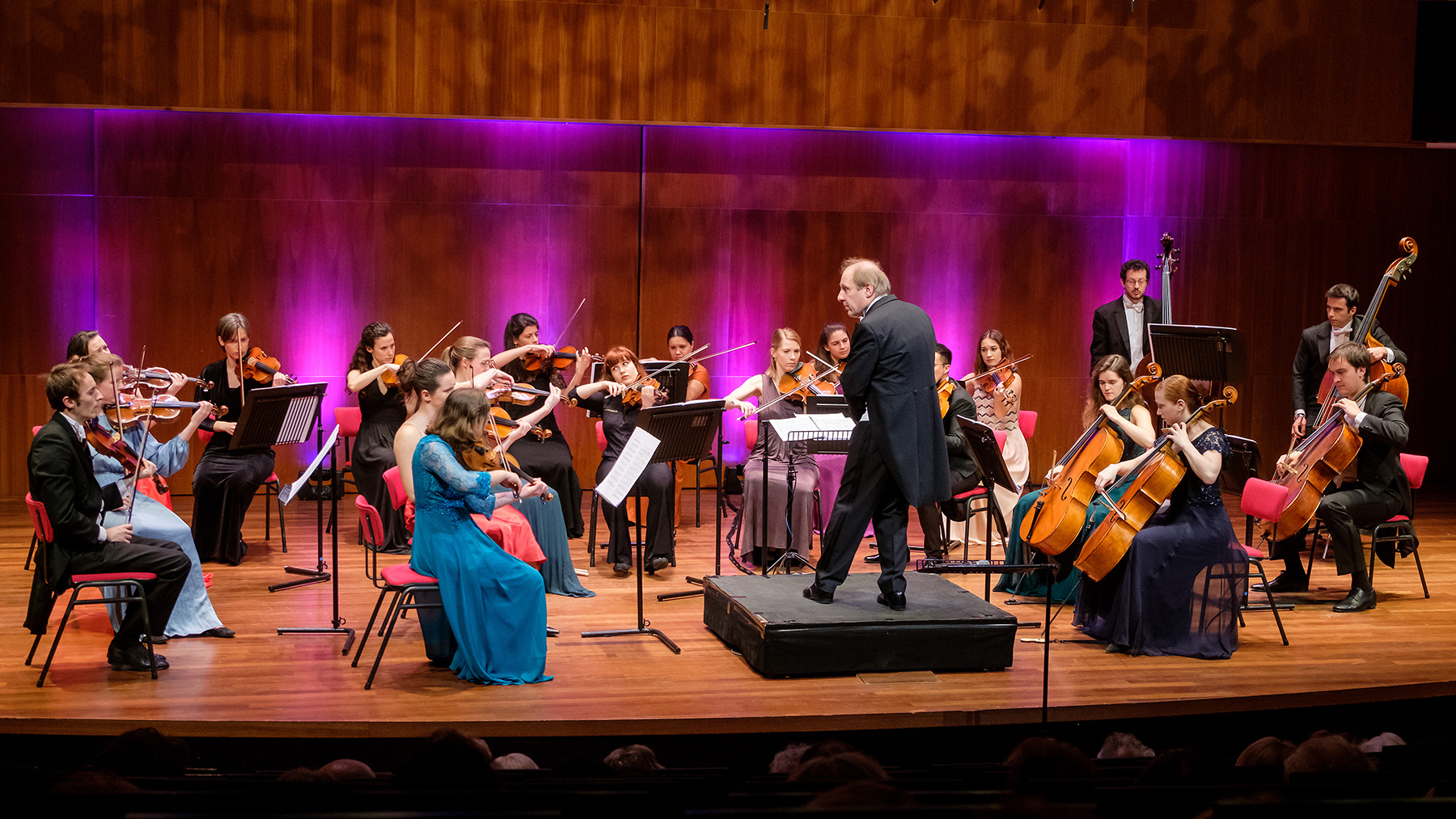 Wiener Maiblumen met Ciconia Consort