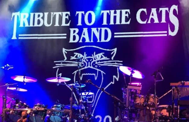 Tribute to the Cats Band