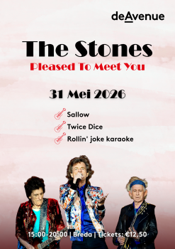 The Stones: Pleased To Meet You