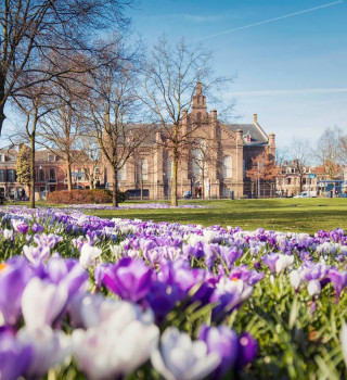 Plantagekerk