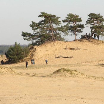Kootwijkerzand