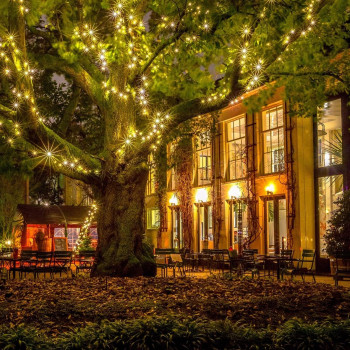 Hortus Botanicus Amsterdam