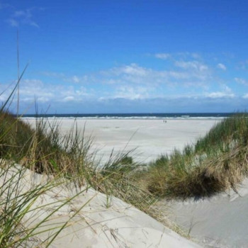Strandafgang Barnaart