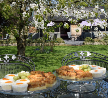 Theetuin en Boomgaard De Stobbe