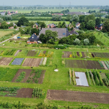 Tuinderij Klein Alma