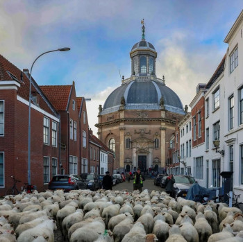 De Oostkerk