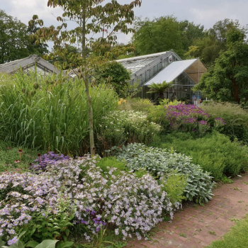 Botanischetuin Zuidas Amsterdam
